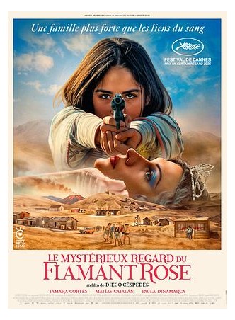 LE MYSTERIEUX REGARD DU...