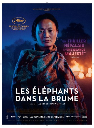 LES ELEPHANTS DANS LA BRUME